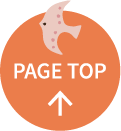 PAGE TOP ↑